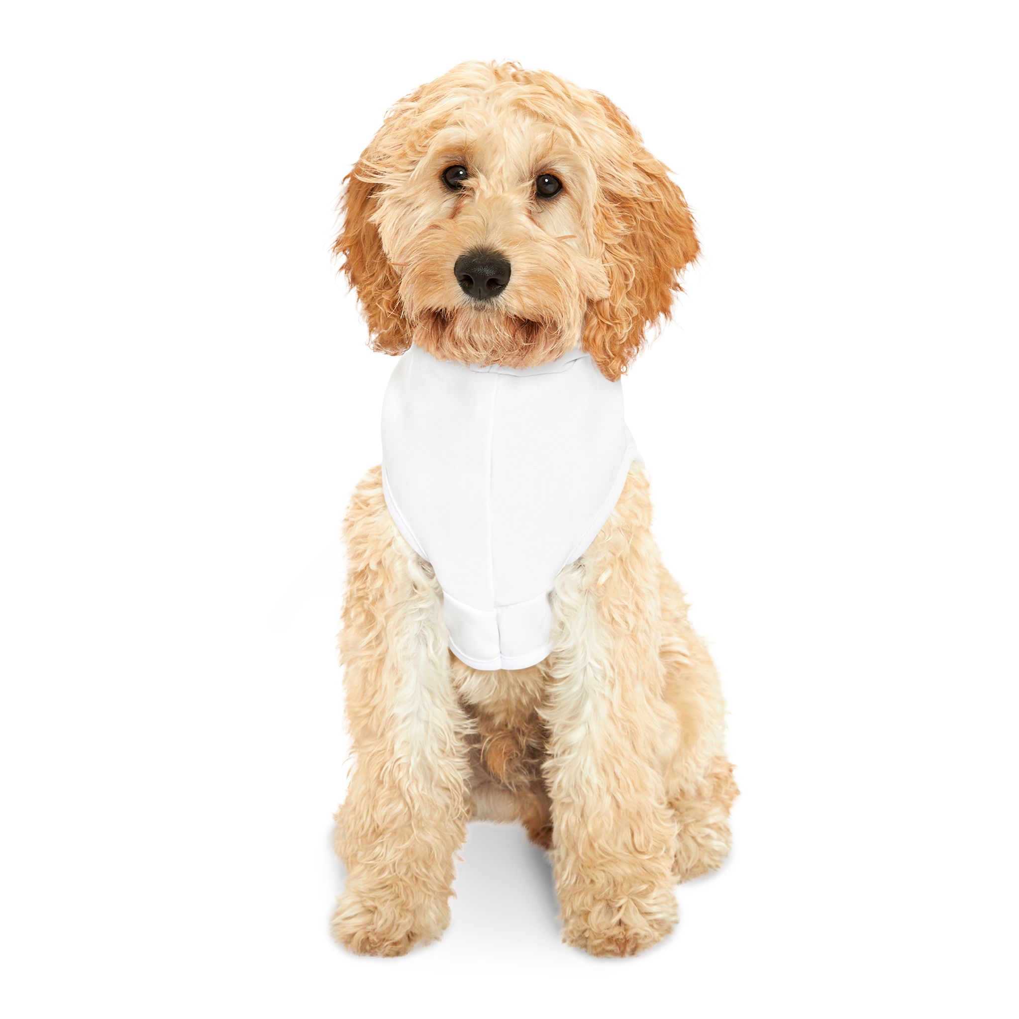 Cute Cartoon Pet Hoodie for Dogs, Cozy Dog Sweatshirt, Dog Costume, Pet Apparel, Funny Dog Hoodie, Gift for Pet Lovers, Halloween Dog Hoodie - Image 3