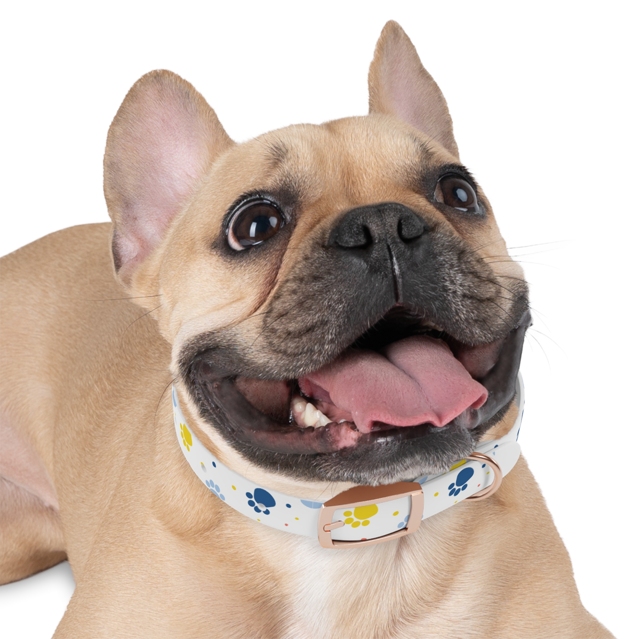 Playful Dog Collar with Colorful Paw Prints, Adjustable Pet Accessory, Perfect for Dog Lovers, Gift for Pet Birthdays, Fun Dog Fashion - Image 9